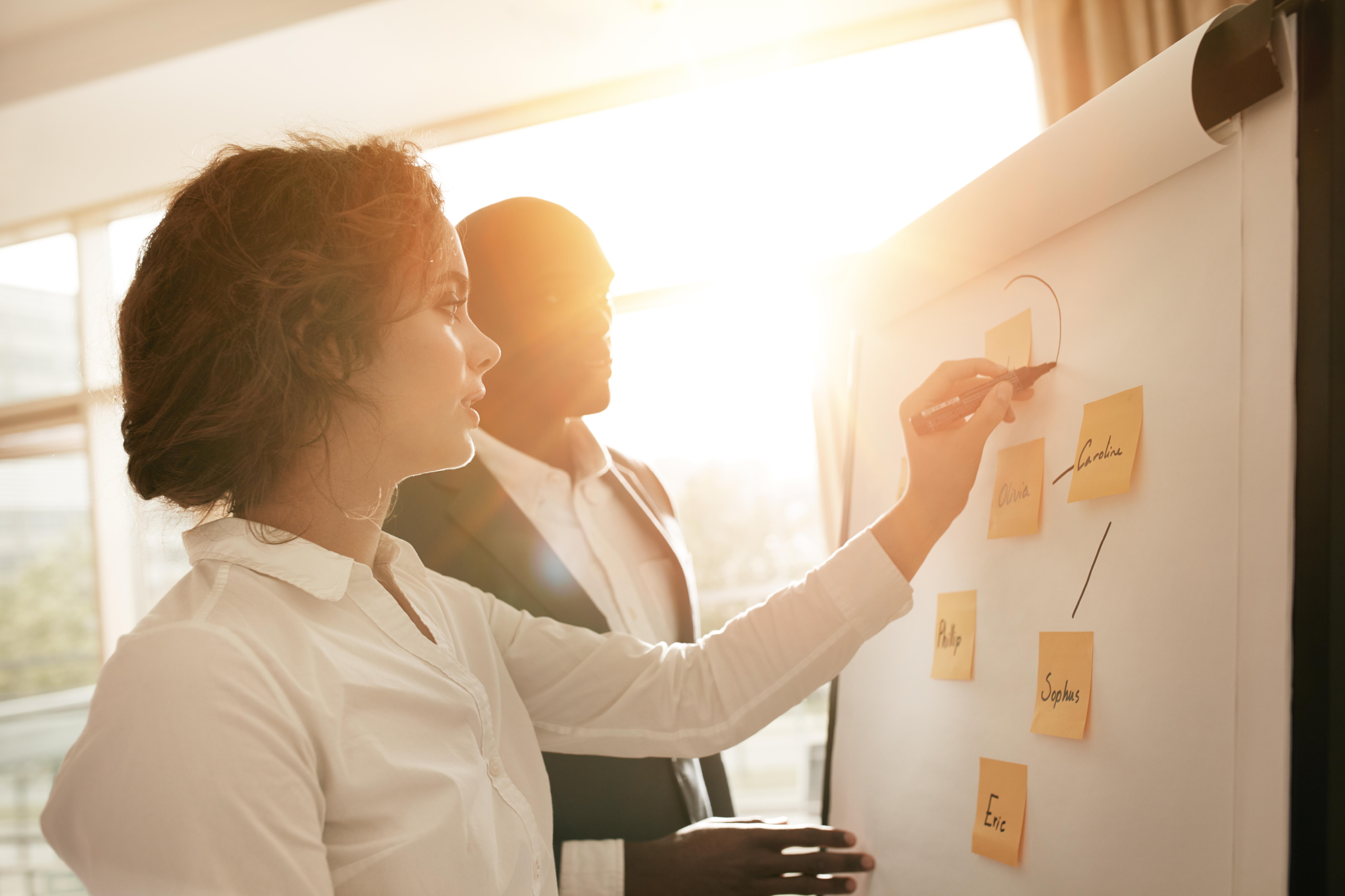 Choosing the Right Company