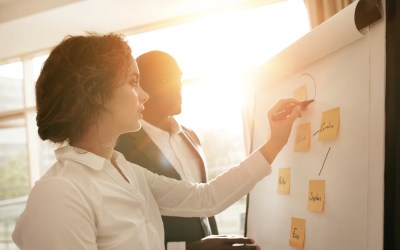 Choosing the Right Company